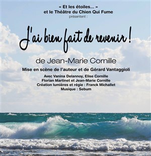 Affiche de J'ai bien fait de revenir !