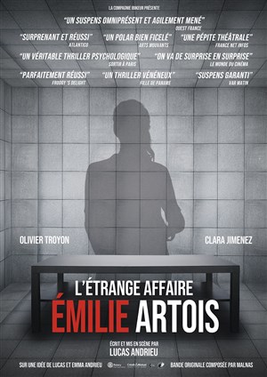 Affiche de L'Étrange affaire Emilie Artois