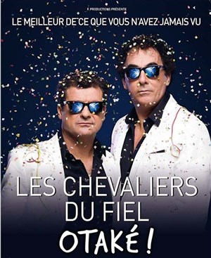 Affiche de Les chevaliers du fiel dans Otaké !