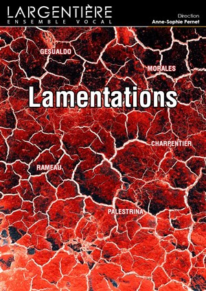 Affiche de Lamentations