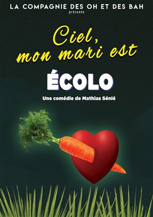 Affiche de Ciel , mon mari est écolo !