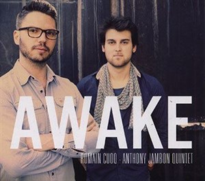 Affiche de Romain Cuoq & Anthony Jambon présentent Awake