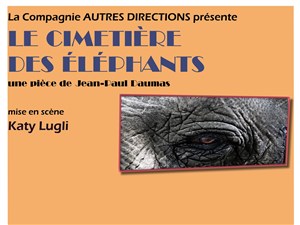 Affiche de Le cimetière des éléphants