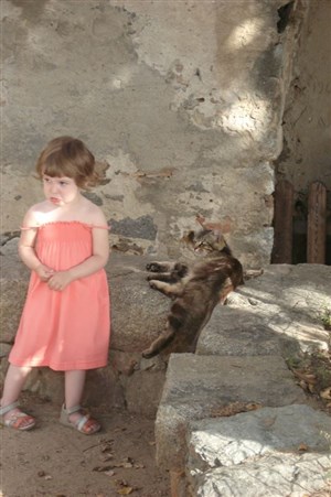 Affiche de Les contes du chat perché