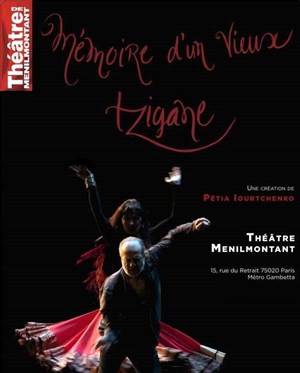 Affiche de Mémoire d'un vieux Tzigane