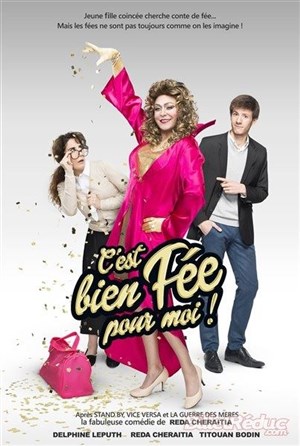 Affiche de C'est bien fée pour moi !
