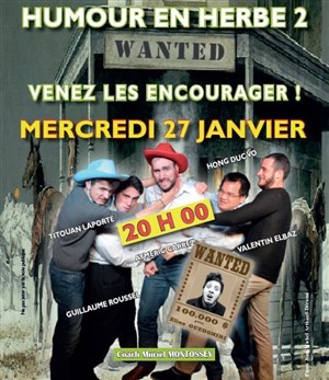 Affiche de Humour en herbe