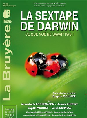 Affiche de La sextape de Darwin