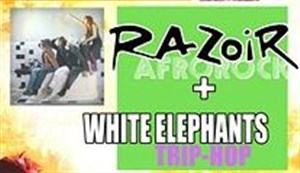 Affiche de Razoirs + Whitelephants + Dj
