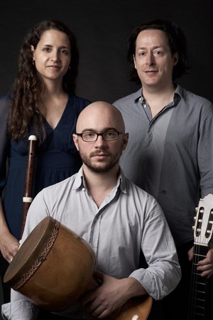 Affiche de Des Ayres trio