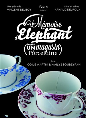 Affiche de Une mémoire d'éléphant (dans un magasin de porcelaine)