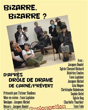 Affiche de Bizarre ! Bizarre ?