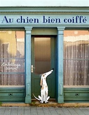 Affiche de Monologue d'un chien bien coiffé