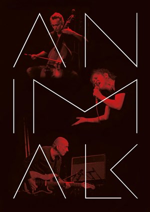 Affiche de Animal K