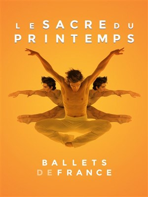 Affiche de Le sacre de la danse
