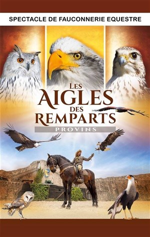 Affiche de Les Aigles des Remparts