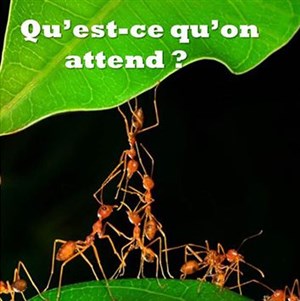 Affiche de Qu'est-ce qu'on attend ?