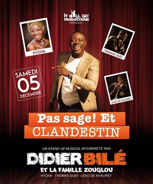 Affiche de Pas sage et clandestin !