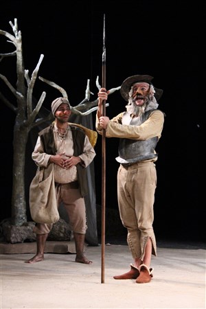 Affiche de Don Quixote