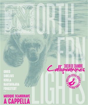 Affiche de Northern Lights