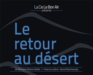 Affiche de Le retour au désert