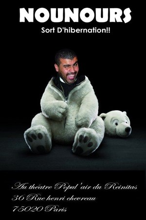 Affiche de Nounours dans Nounours sort d'hibernation