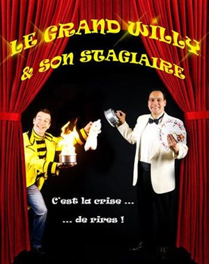Affiche de Willy et son stagiaire