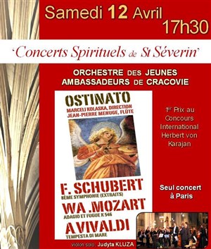 Affiche de Orchestre des jeunes ambassadeurs de Cracovie