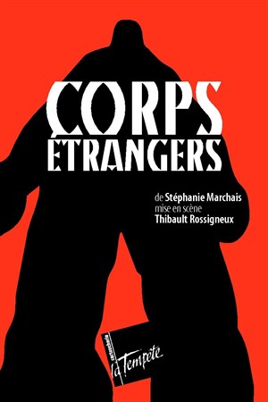 Affiche de Corps étrangers