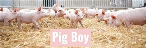 Affiche de Pig boy
