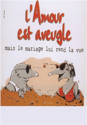 Affiche de L'amour est aveugle mais le mariage lui rend la vue !