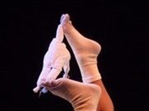 Affiche de Ballet dans un mouchoir de poche