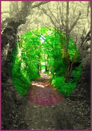 Affiche de Hansel et Gretel