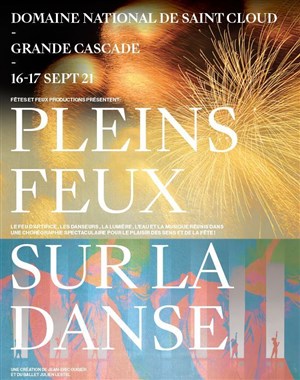 Affiche de Pleins feux sur la danse | spectacle de pyrotechnie