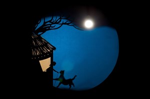 Affiche de Chair de lune