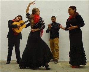 Affiche de Vuelo flamenco