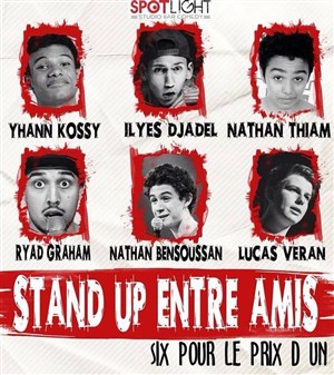 Affiche de Stand up entre amis