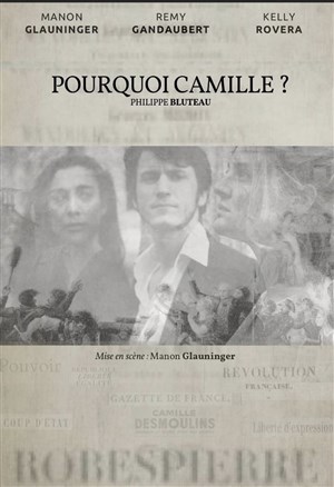 Affiche de Pourquoi Camille ?