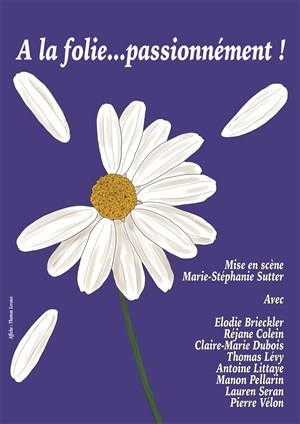 Affiche de A la folie... passionnément !