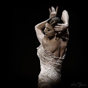 Affiche de Esencia Flamenca