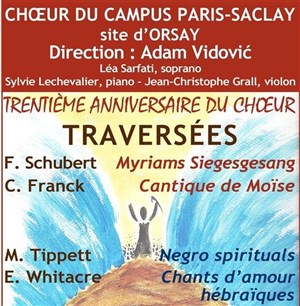 Affiche de Traversées