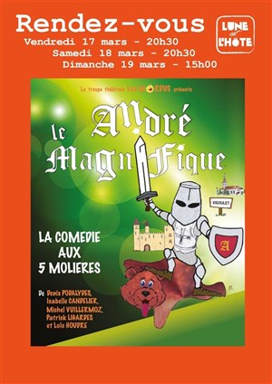 Affiche de André le Magnifique