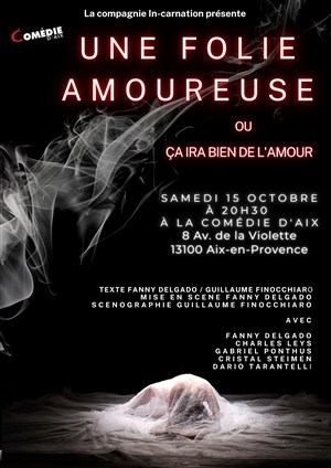 Affiche de Une folie amoureuse