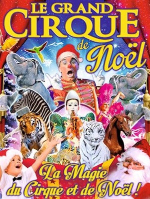 Affiche de Le Grand Cirque de Noël, la magie du cirque | à Nancy