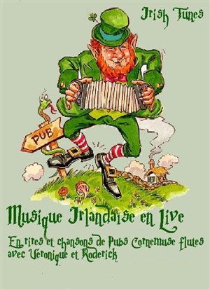Affiche de Musique Irlandaise en live