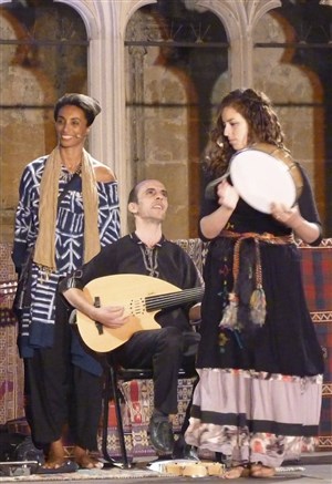 Affiche de Les fiancées d'Anzar, hymne à la femme berbère