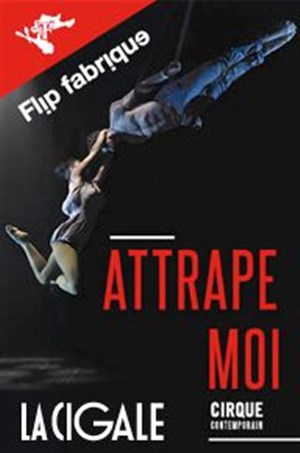 Affiche de Flip Fabrique dans Attrape-moi