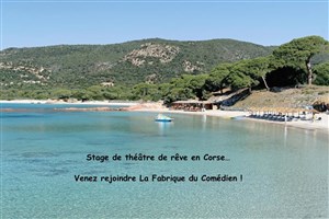 Affiche de Stage théâtre