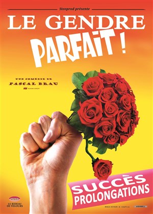 Affiche de Le gendre parfait !