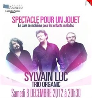 Affiche de Un concert pour un jouet | Trio Organic